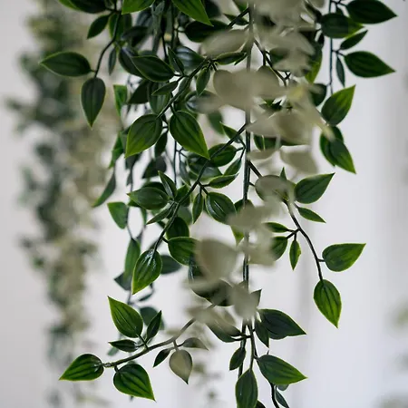 Murleben Appartamento *